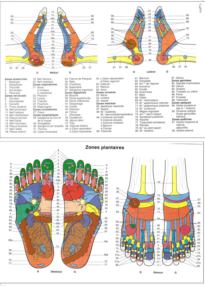 Cartes des pieds établie par Mireille Meunier